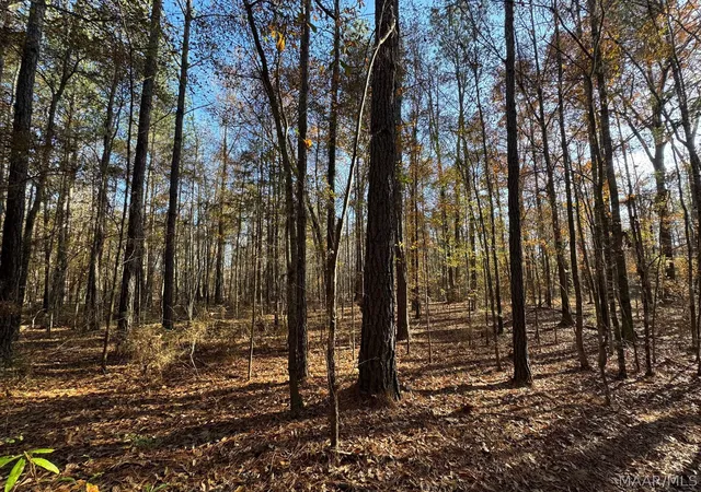 9th image of 3 Jug Factory Rd, Wetumpka, AL 36093 | MLS# 584744