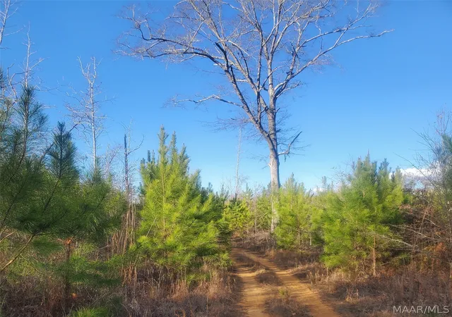 2nd image of 0 Brownin Rd, Tuscaloosa, AL 35480 | MLS# 584773