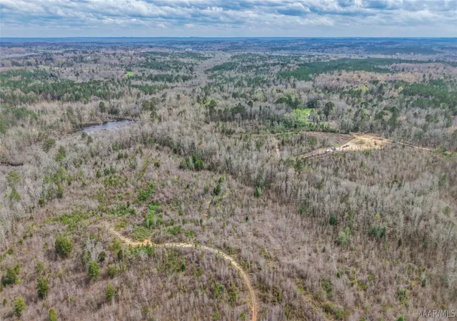 Photo 4 of Land for sale at 0 Brownin Rd, Tuscaloosa, AL 35480 | MLS# 584773 | Listing updated on 2026-08-28