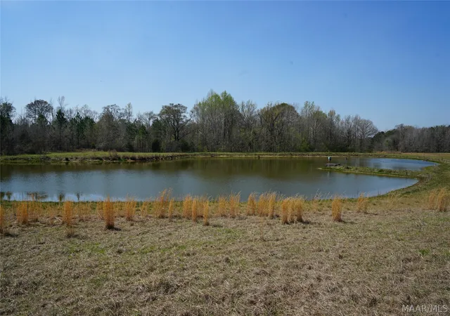 1st image of 11540 Hobbie Rd, Ramer, AL 36069 | MLS# 584973