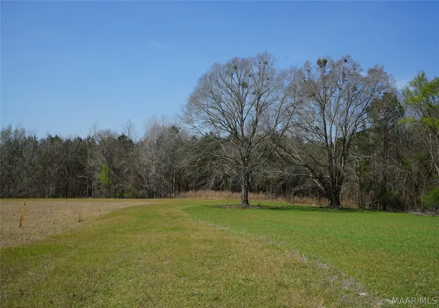 4th image of 11540 Hobbie Rd, Ramer, AL 36069 | MLS# 584973
