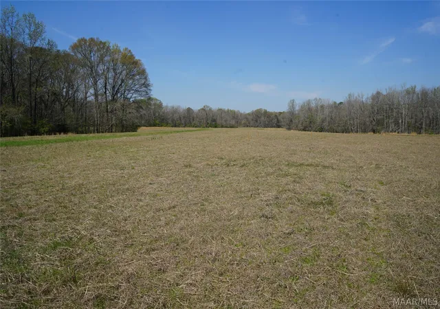 5th image of 11540 Hobbie Rd, Ramer, AL 36069 | MLS# 584973
