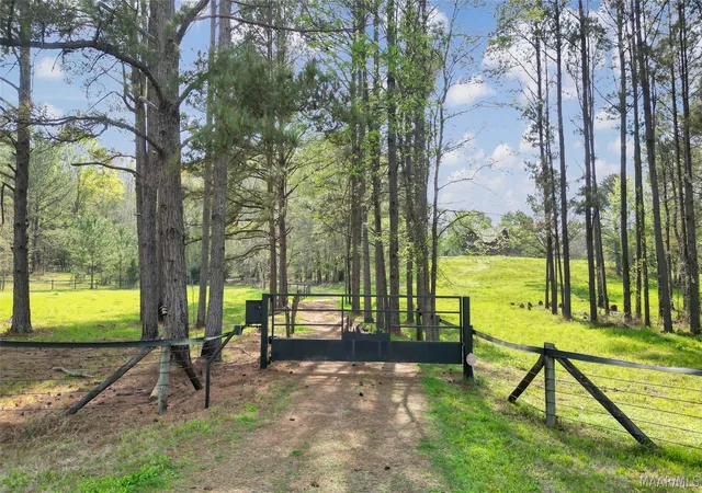 Homes for sale in Fitzpatrick, AL | 15648 County Road 9, Fitzpatrick, AL 36029 | MLS# 585011