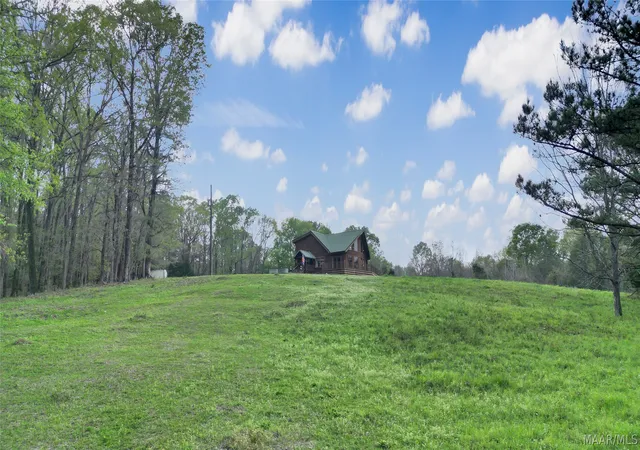 Homes for sale in Fitzpatrick, AL | 15648 County Road 9, Fitzpatrick, AL 36029 | MLS# 585011