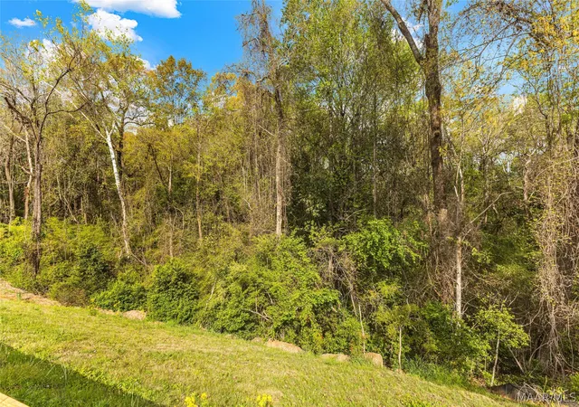 39th image of 179 Macallister Rdg, Millbrook, AL 36054 | MLS# 585184