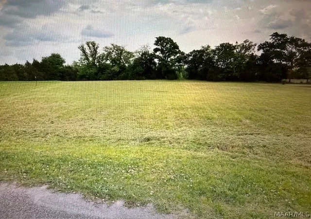 Homes for sale in Pike Road, AL | 900 Kerington Ln, Pike Road, AL 36064 | MLS# 585254