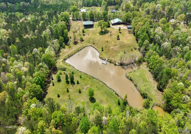 3rd image of 12110 Hwy 10 W, Pine Hill, AL 36769 | MLS# 584985