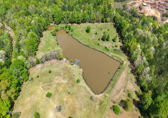 4th image of 12110 Hwy 10 W, Pine Hill, AL 36769 | MLS# 584985
