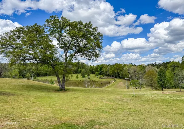 5th image of 12110 Hwy 10 W, Pine Hill, AL 36769 | MLS# 584985