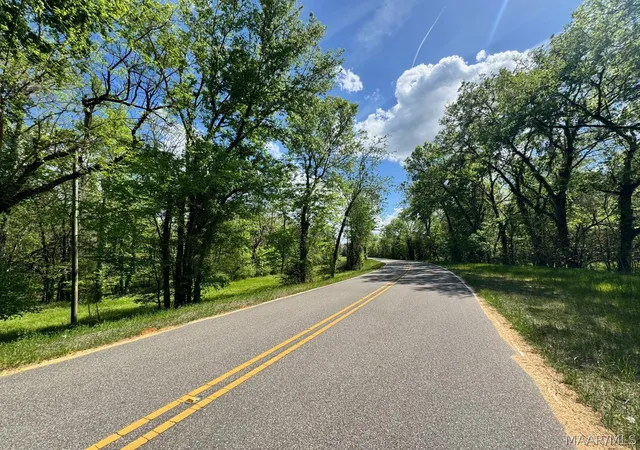 23rd image of 0 Judkins Rd, Cecil, AL 36013 | MLS# 585365