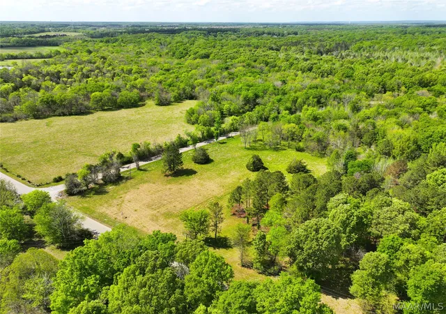 2nd image of 0 Judkins Rd, Cecil, AL 36013 | MLS# 585365