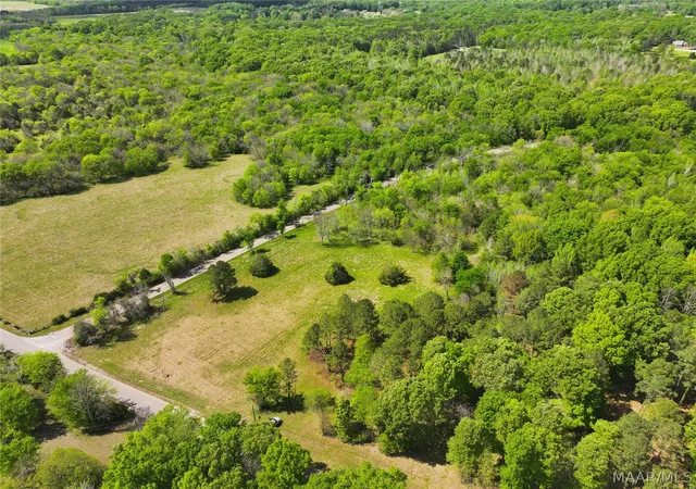 3rd image of 0 Judkins Rd, Cecil, AL 36013 | MLS# 585365