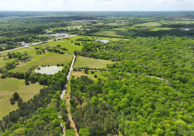 5th image of 0 Judkins Rd, Cecil, AL 36013 | MLS# 585365