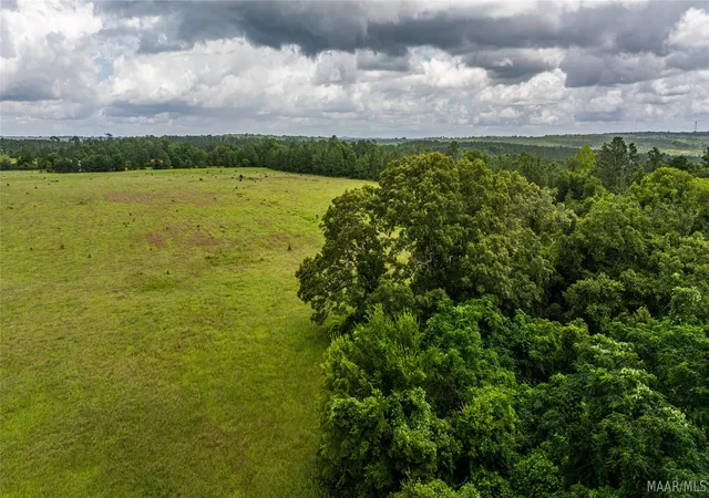 36th image of 8 County Road 57, Pine Level, AL 36022 | MLS# 585523