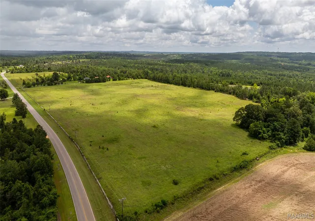 3rd image of 8 County Road 57, Pine Level, AL 36022 | MLS# 585523