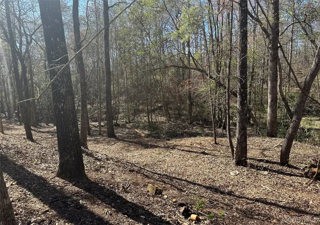 30th image of 396 Spring Ln, Deatsville, AL 36022 | MLS# 585425