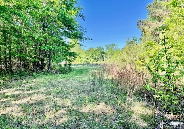 Photo 2 of Land for sale at 0 Union Rd, Eclectic, AL 36024 | MLS# 585752 | Listing updated on 2026-08-28