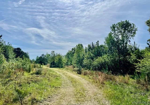 Photo 3 of Land for sale at 0 Union Rd, Eclectic, AL 36024 | MLS# 585752 | Listing updated on 2026-08-28