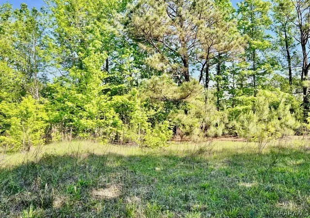 Photo 3 of Land for sale at 0 Union Rd, Eclectic, AL 36024 | MLS# 585752 | Listing updated on 2026-08-28