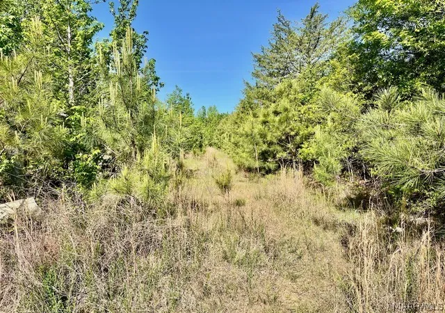 Photo 4 of Land for sale at 0 Union Rd, Eclectic, AL 36024 | MLS# 585752 | Listing updated on 2026-08-28