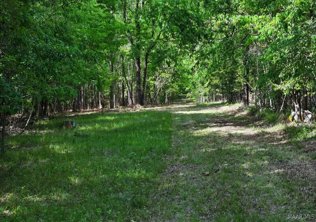 3rd image of 263 Edgewood Ct, Mathews, AL 36052 | MLS# 585730