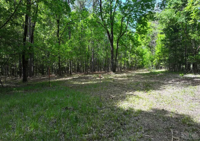 4th image of 263 Edgewood Ct, Mathews, AL 36052 | MLS# 585730