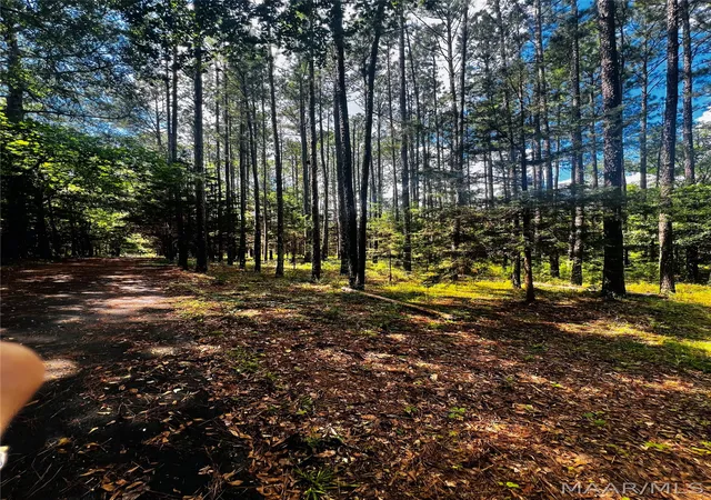 49th image of 78715 Tallassee Hwy, Wetumpka, AL 36092 | MLS# 585709