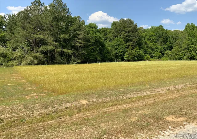 1st image of 0 County Rd 8 Rd, Tuskegee, AL 36083 | MLS# 585919
