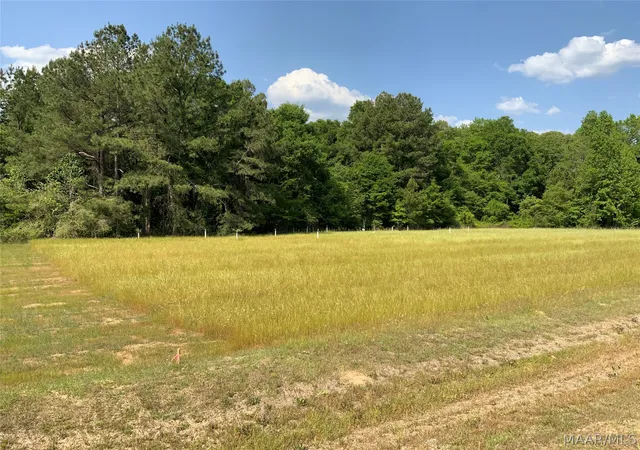 2nd image of 0 County Rd 8 Rd, Tuskegee, AL 36083 | MLS# 585919