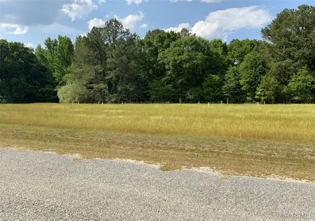 3rd image of 0 County Rd 8 Rd, Tuskegee, AL 36083 | MLS# 585919