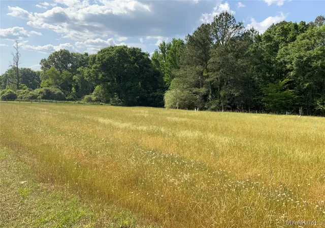 4th image of 0 County Rd 8 Rd, Tuskegee, AL 36083 | MLS# 585919