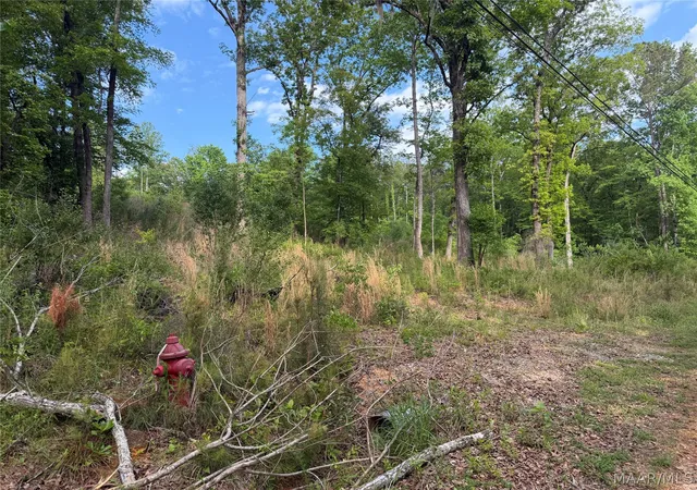 2nd image of 0 Shady Acres Rd, Titus, AL 36080 | MLS# 586052