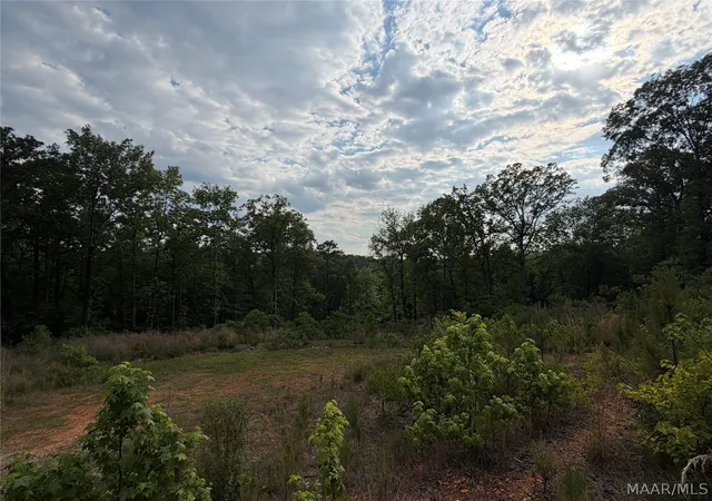 7th image of 0 Shady Acres Rd, Titus, AL 36080 | MLS# 586052