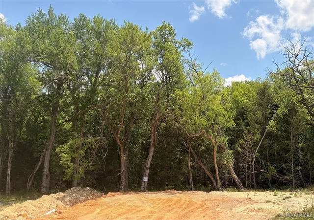 Homes for sale in Hayneville, AL | 0 Hwy 21 Acres, Hayneville, AL 36752 | MLS# 586053
