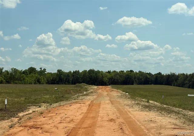 Homes for sale in Hayneville, AL | 0 Hwy 21 Acres, Hayneville, AL 36752 | MLS# 586053
