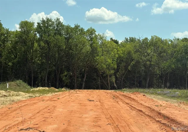 Homes for sale in Hayneville, AL | 0 Hwy 21 Acres, Hayneville, AL 36752 | MLS# 586053