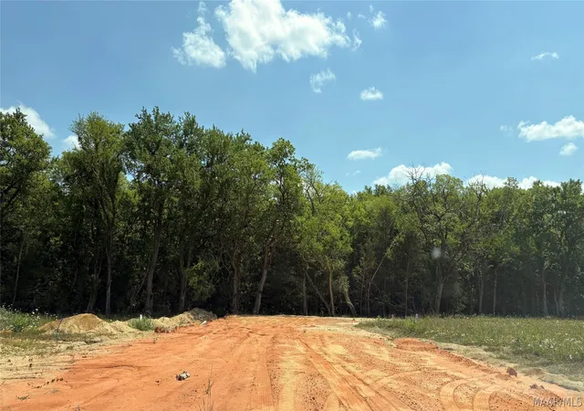 Homes for sale in Hayneville, AL | 0 Hwy 21 Acres, Hayneville, AL 36752 | MLS# 586053