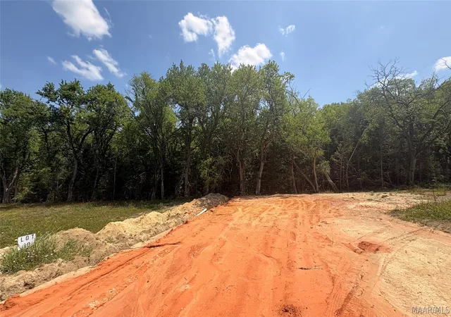 Homes for sale in Hayneville, AL | 0 Hwy 21 Acres, Hayneville, AL 36752 | MLS# 586053