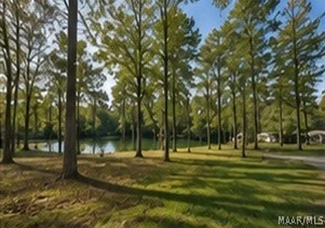5th image of 0 Blue Springs Cir, Jackson, AL 36545 | MLS# 586301