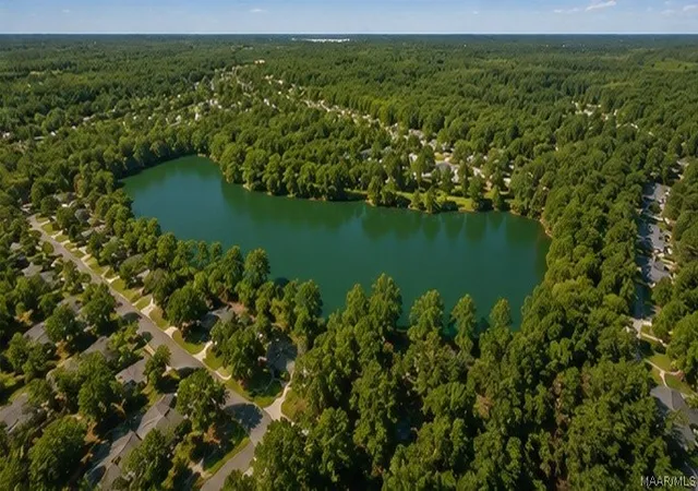 9th image of 0 Blue Springs Cir, Jackson, AL 36545 | MLS# 586301