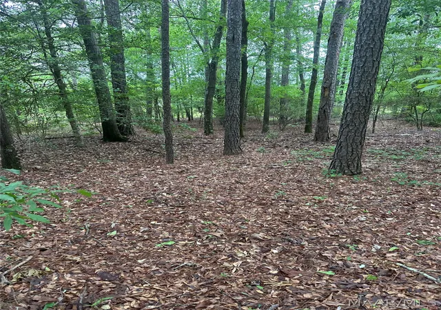 4th image of 0000 County Road 77 Road, Billingsley, AL 36006 | MLS# 586302