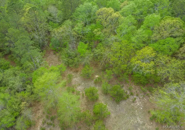 9th image of 0000 County Road 77 Road, Billingsley, AL 36006 | MLS# 586302