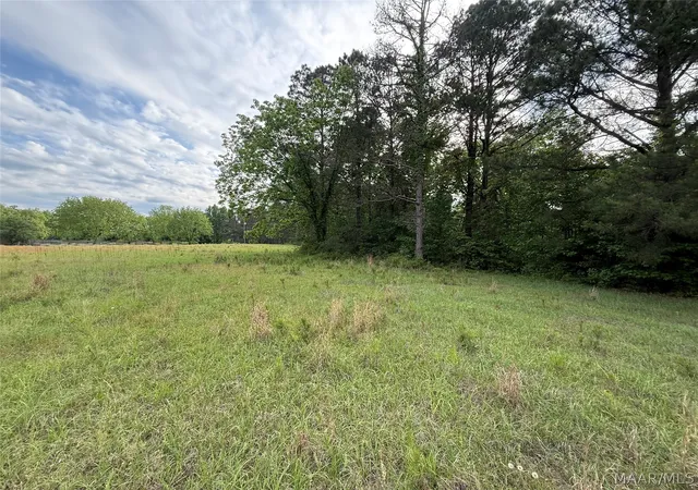1st image of 3783 B Al Hwy 22 N, Selma, AL 36701 | MLS# 586335