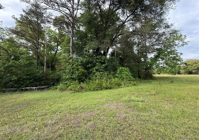 Photo 3 of Land for sale at 3783 B Al Hwy 22 N, Selma, AL 36701 | MLS# 586335 | Listing updated on 2026-10-07