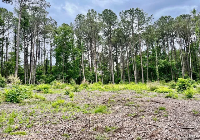 1st image of 2367 Mitchell Creek Rd, Wetumpka, AL 36093 | MLS# 586354