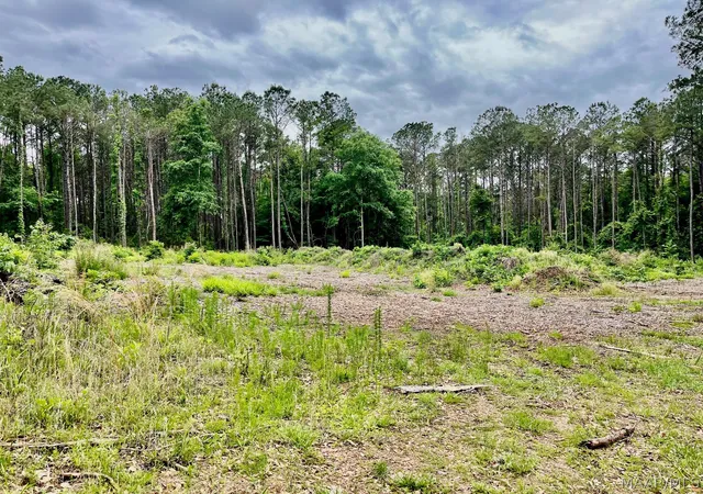 Photo 3 of Land for sale at 2367 Mitchell Crk Rd, Wetumpka, AL 36093 | MLS# 586354 | Listing updated on 2026-08-28