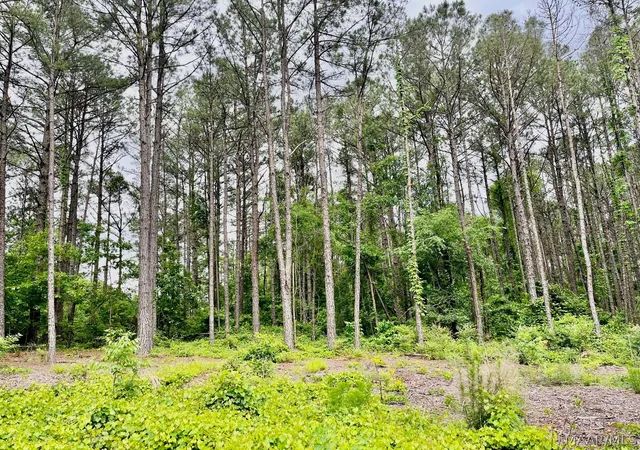 Photo 3 of Land for sale at 2367 Mitchell Crk Rd, Wetumpka, AL 36093 | MLS# 586354 | Listing updated on 2026-08-28