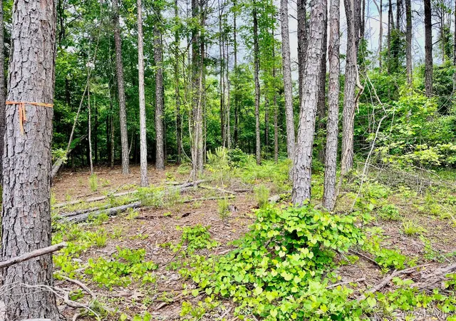 Photo 4 of Land for sale at 2367 Mitchell Crk Rd, Wetumpka, AL 36093 | MLS# 586354 | Listing updated on 2026-08-28