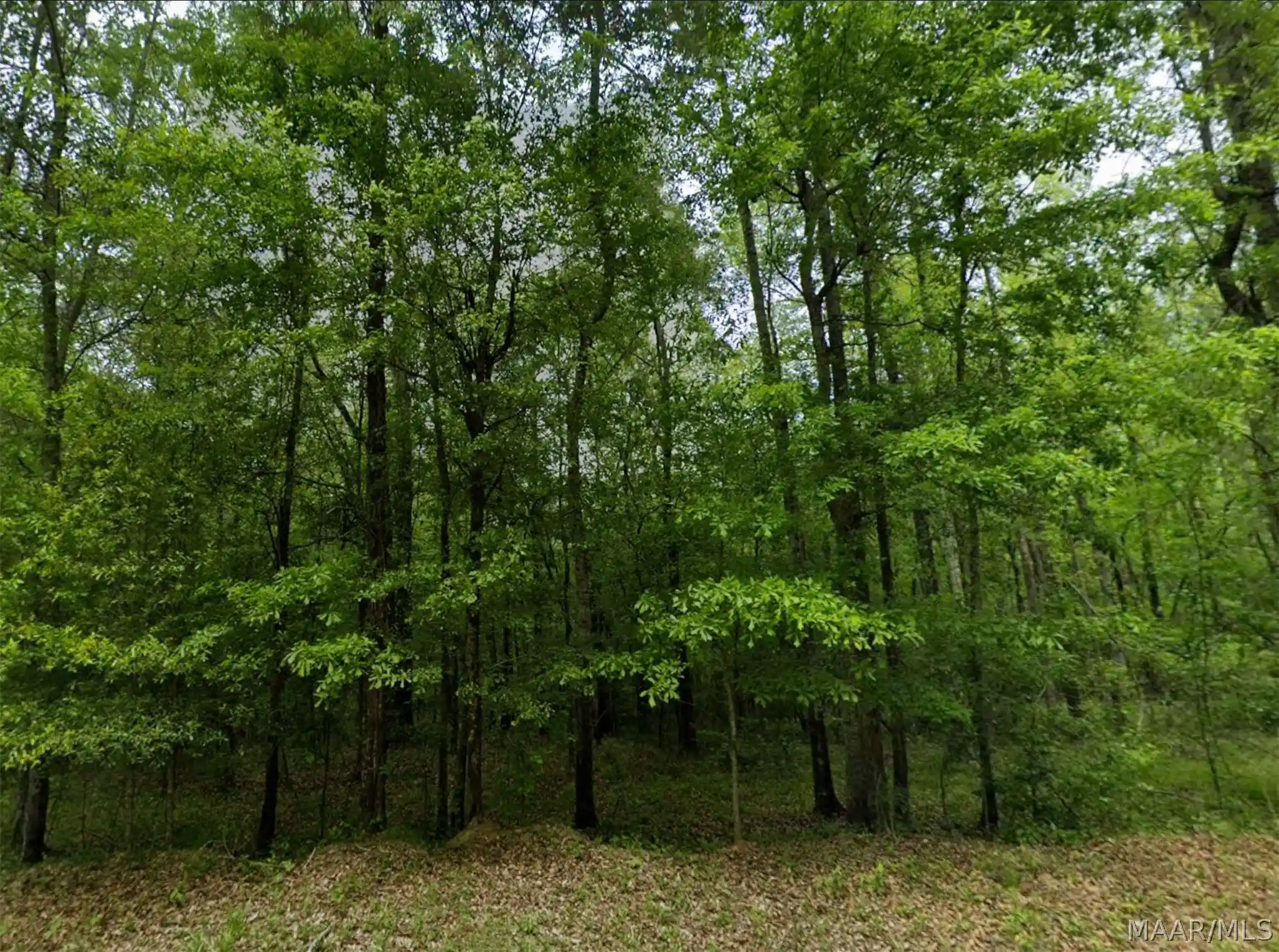 Photo 1 of Land for sale at 0 Pine Grv Rd, Tuskegee, AL 36083 | MLS# 586313 | Listing updated on 2026-10-08