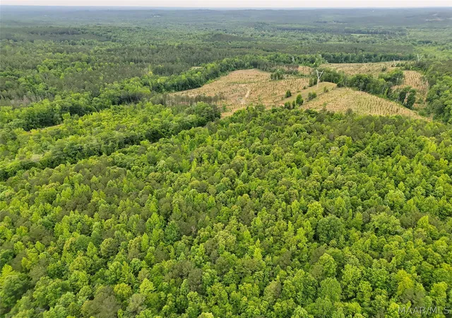 13th image of 0 County Rd, Moundville, AL 35474 | MLS# 586376